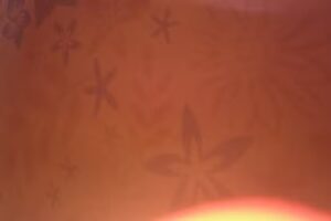 Panadería y Confitería “Colón”