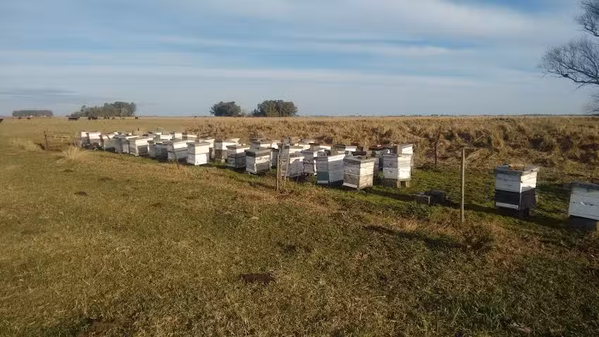 Panaderia Y Confiteria Paris
