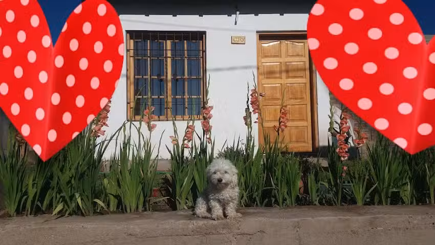 PANADER&Iacute;A Y PASTELER&Iacute;A Don Sebast&iacute;an