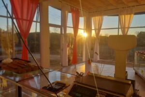 Panaderia y Pasteleria Otto