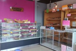 Paner&iacute;a &ldquo;La Nueva&rdquo;