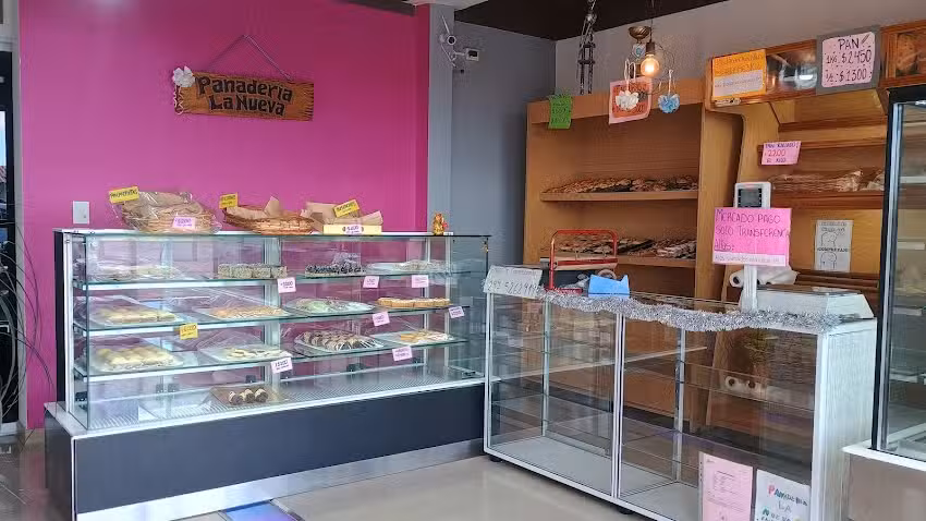 Paner&iacute;a &ldquo;La Nueva&rdquo;