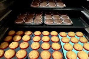 Panificaci&oacute;n La Nueva Era