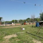 Panificaci&oacute;n La primavera