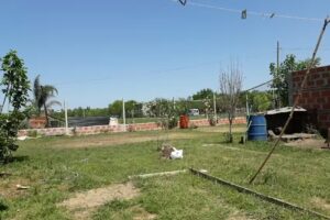 Panificaci&oacute;n La primavera