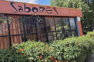 Panificaci&oacute;n Sabores