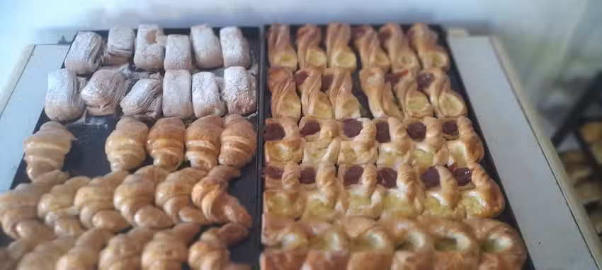 Panificadora San Mart&iacute;n