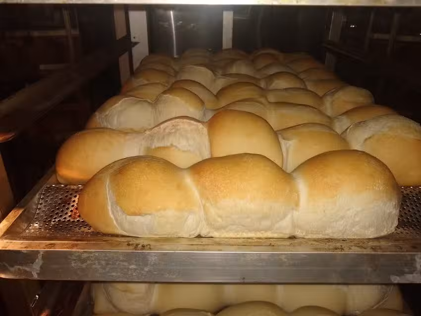 Panificados BELLUCCI