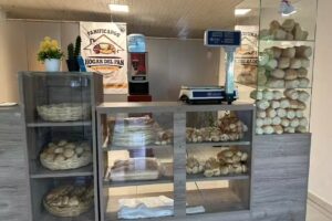 Panificados hogar del pan