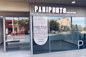 PANIPUNTO MASA MADRE