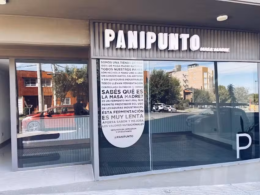 PANIPUNTO MASA MADRE