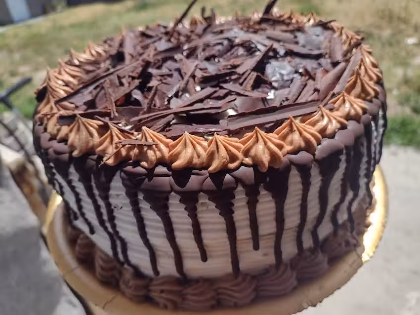 Reposter&iacute;a Dani Tolosa