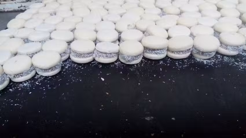 Santa Rosa Horno A Le&ntilde;a