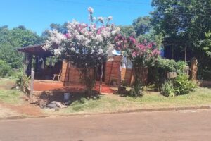 Tortas Do&ntilde;a de ester