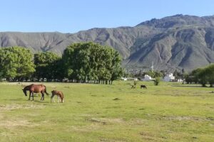 Venta de churros, pan, empanadillas